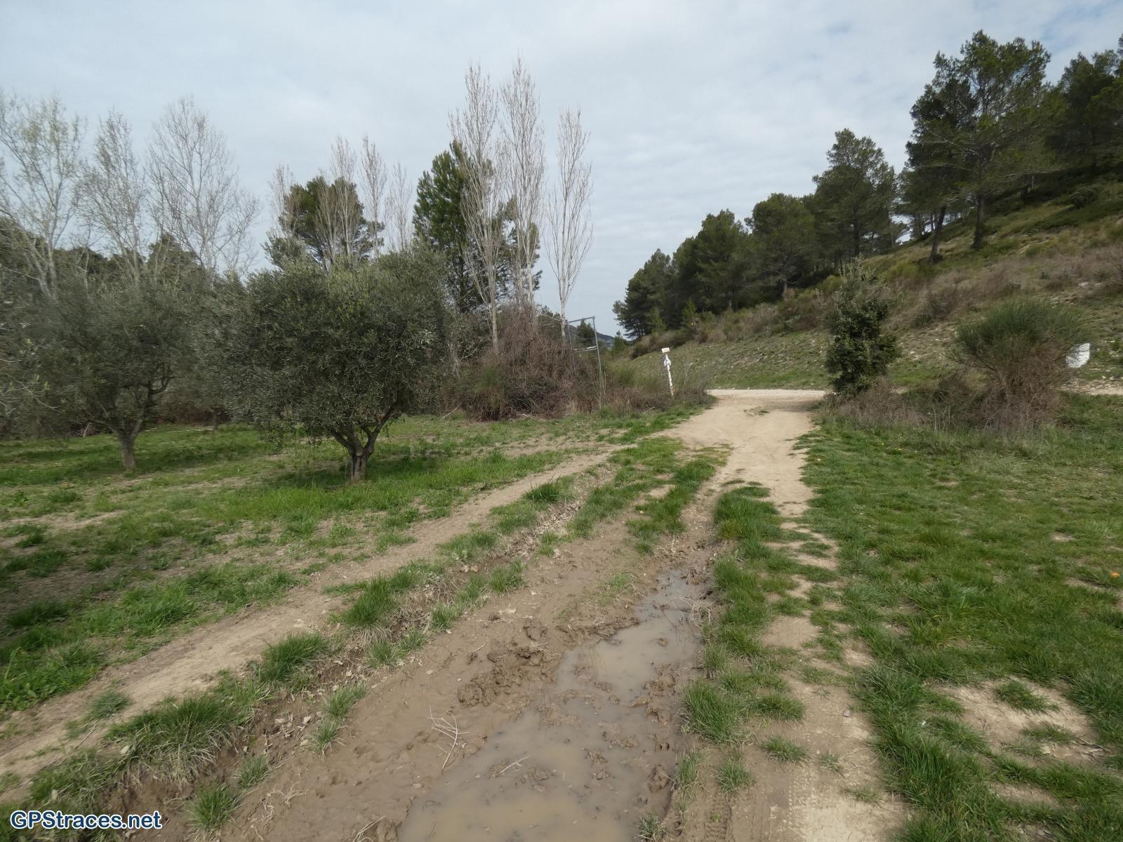 Bouches du Rhône-Alpilles - Mas de Montfort - Tour de guet - Pas de la Figuière–0