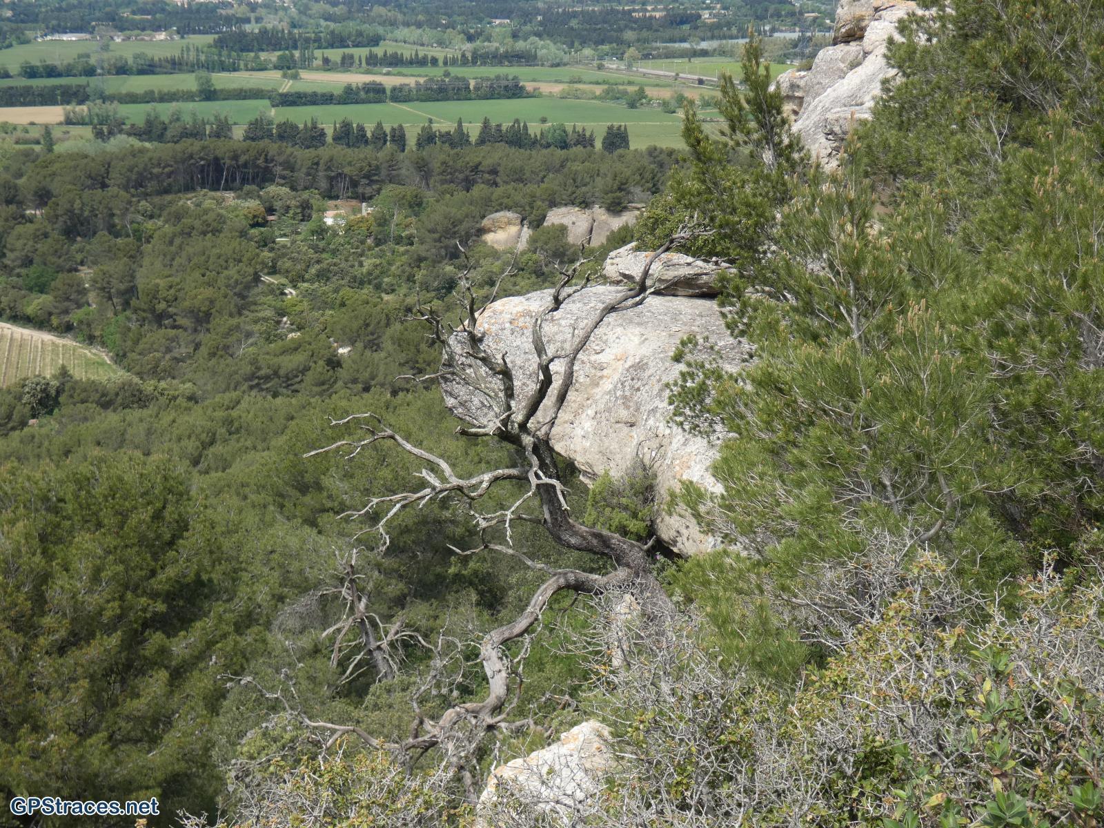 Bouches du Rhône-De la Fontaine Gilouse aux grottes de Calès–15