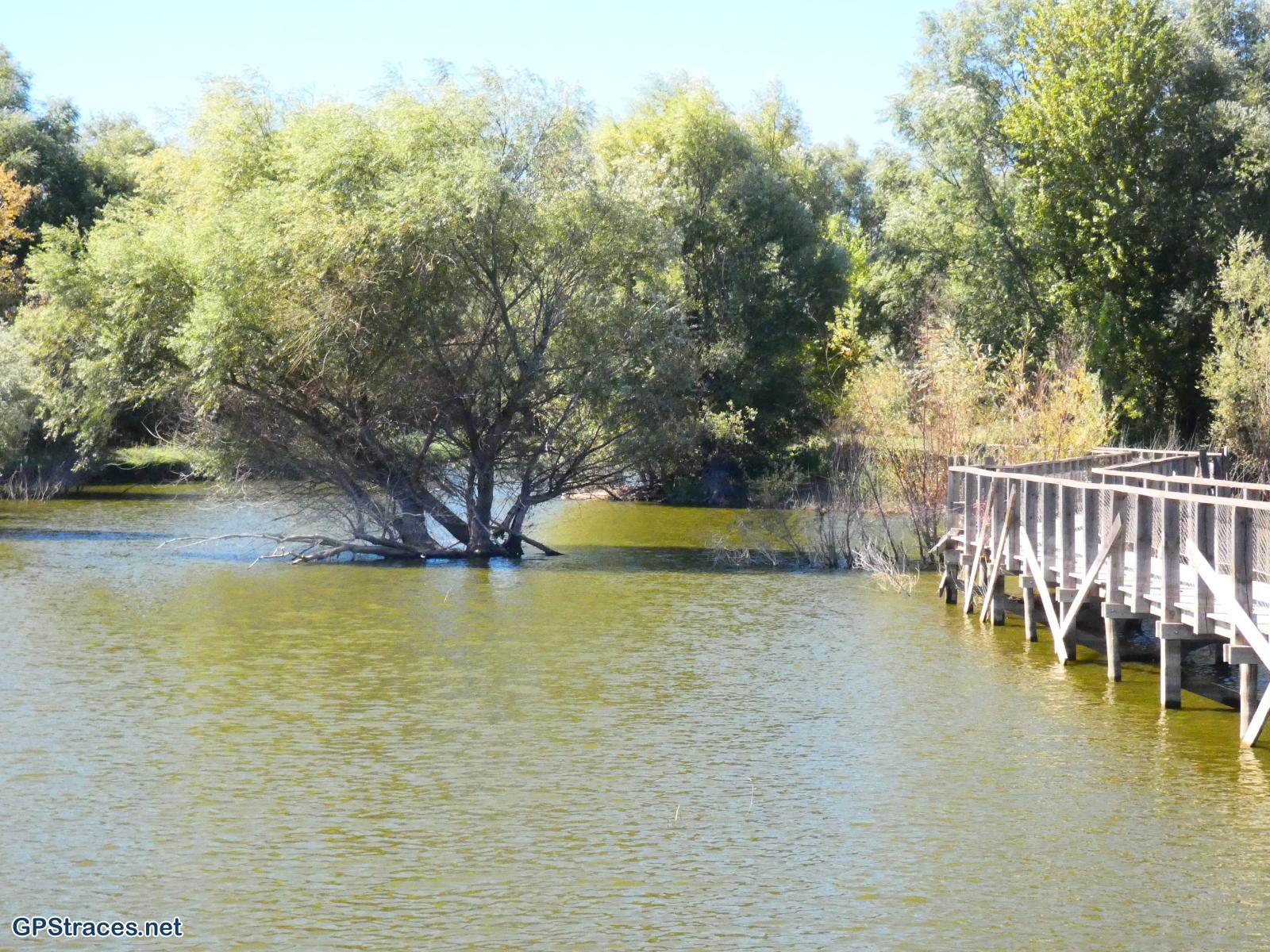 Sur le ponton