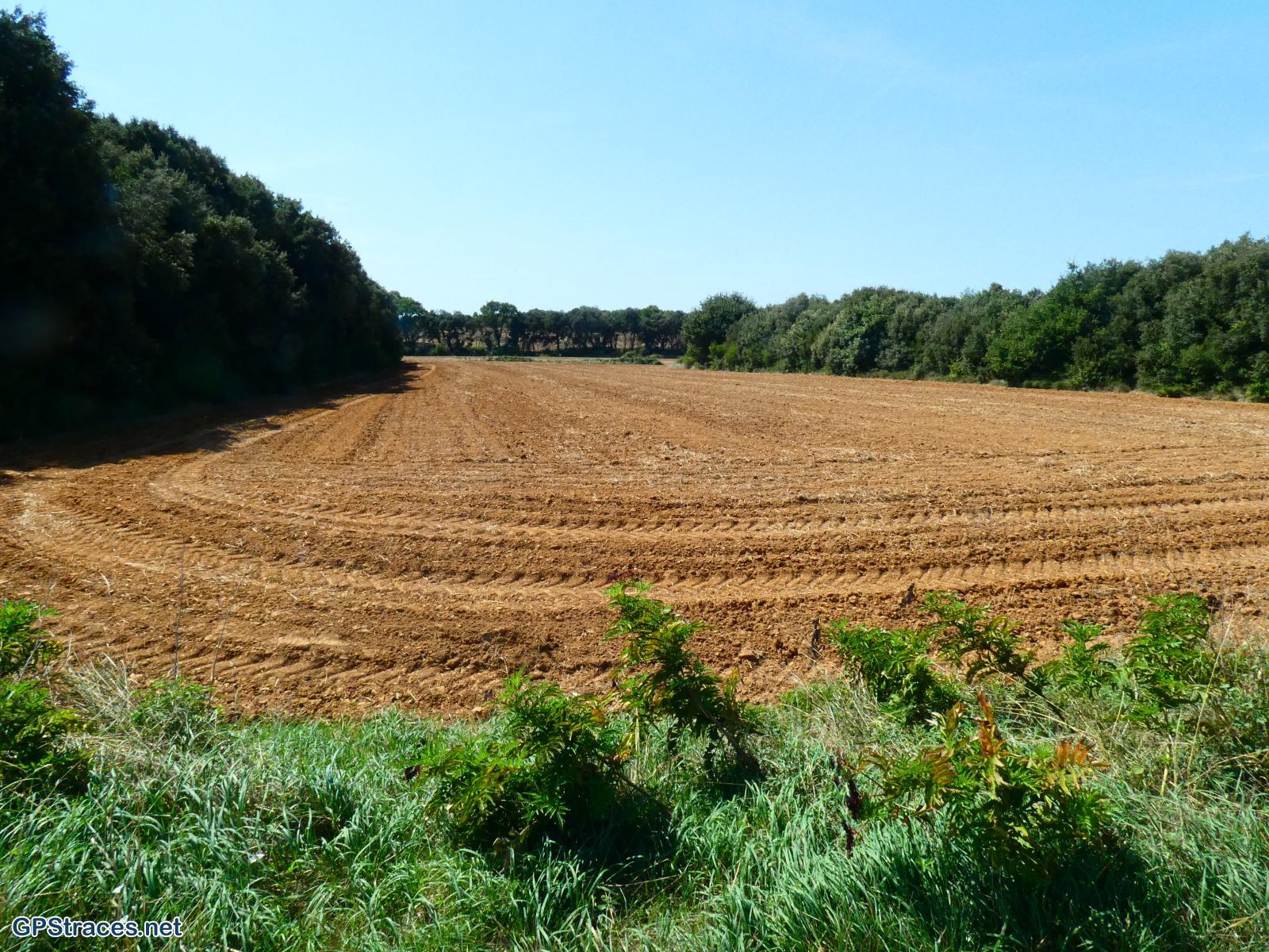Gard-De la Bastide D'Engras à Pougnadoresse–5