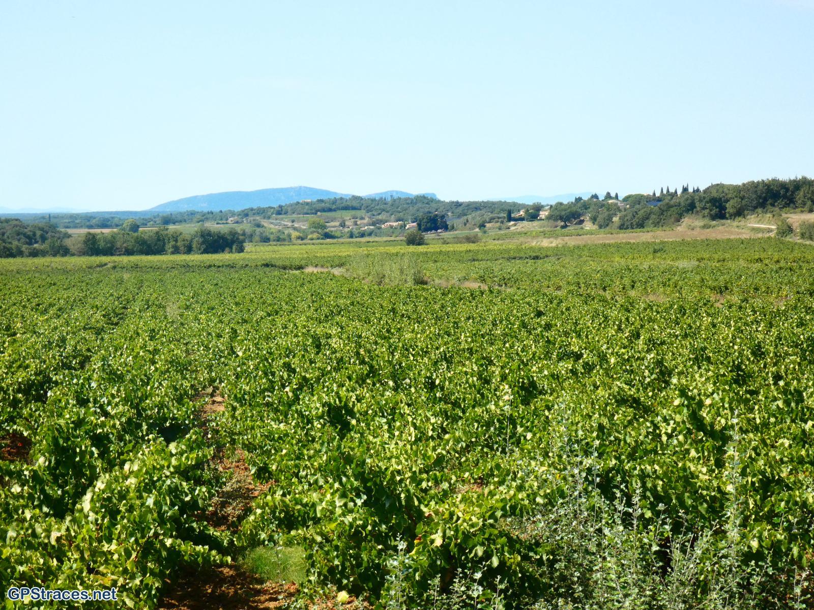 Gard-De la Bastide D'Engras à Pougnadoresse–6