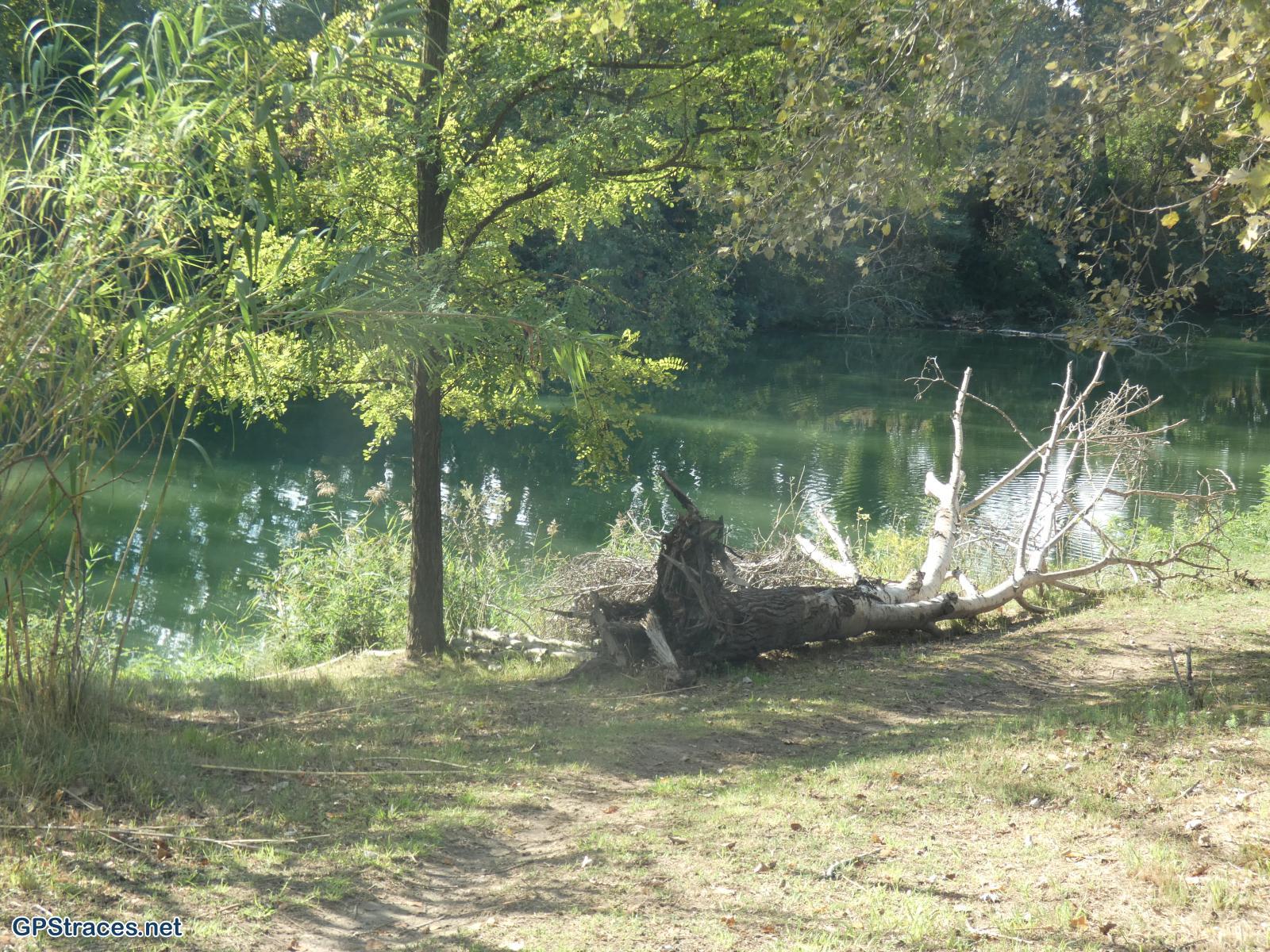 Gard-D'Aramon à Théziers–5
