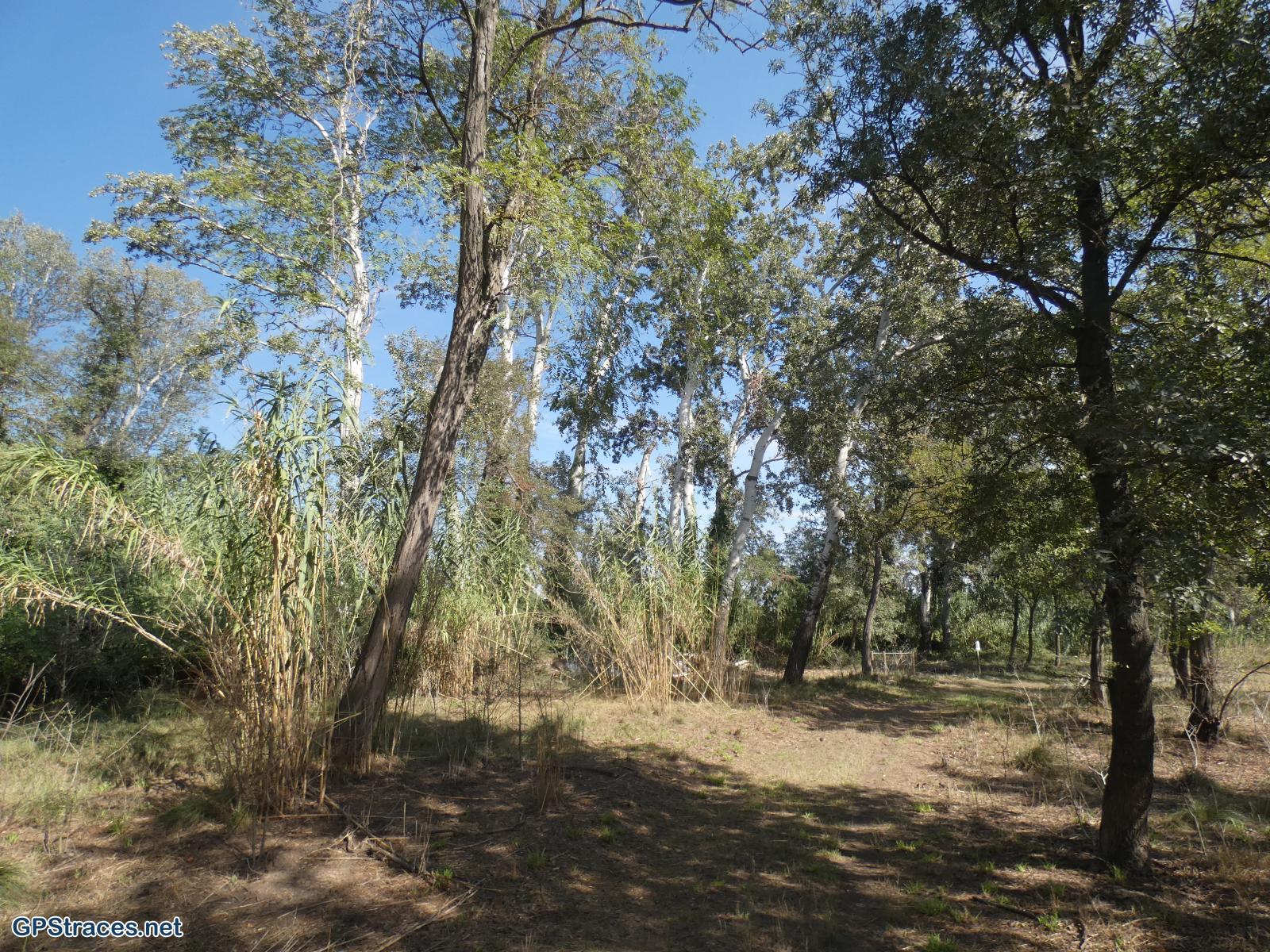 Gard-D'Aramon à Théziers–7