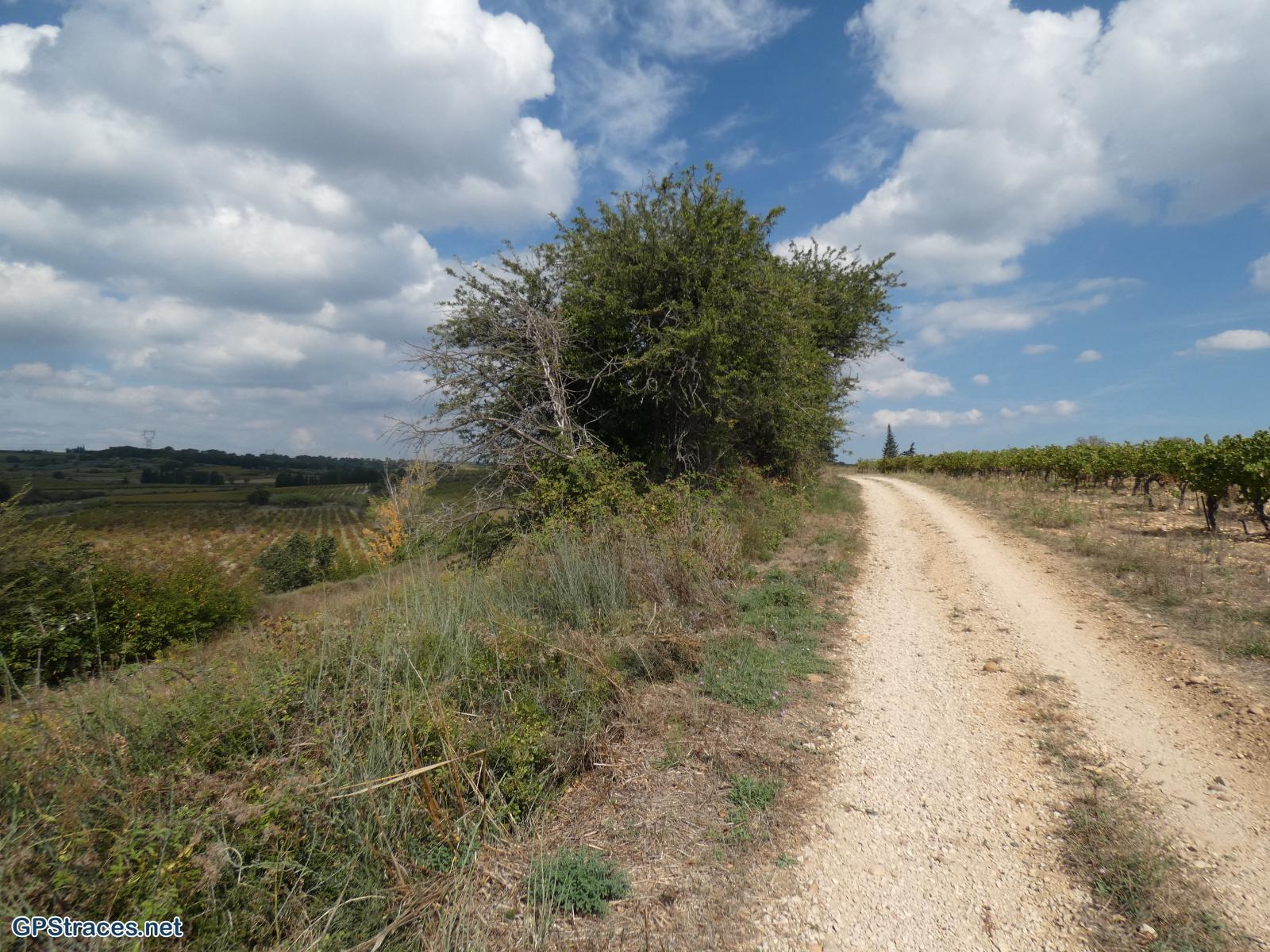 Gard-De Domazan à Estézargues–3