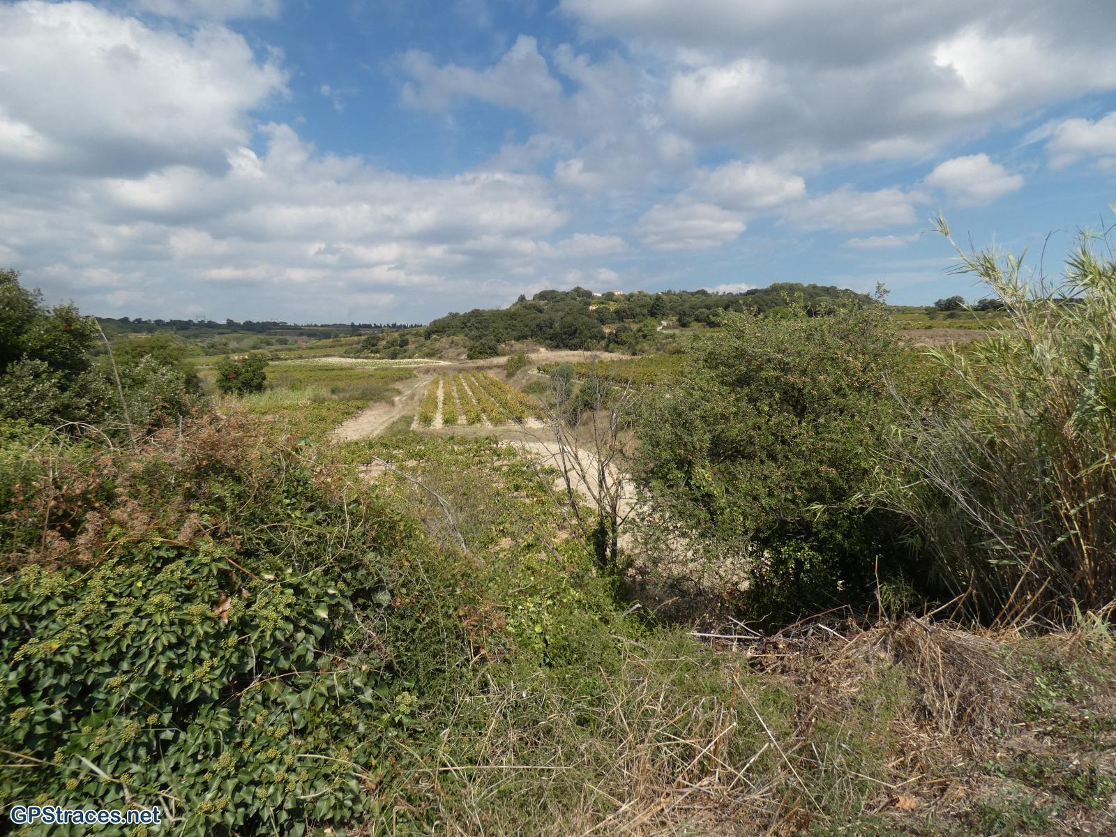 Gard-De Domazan à Estézargues–4