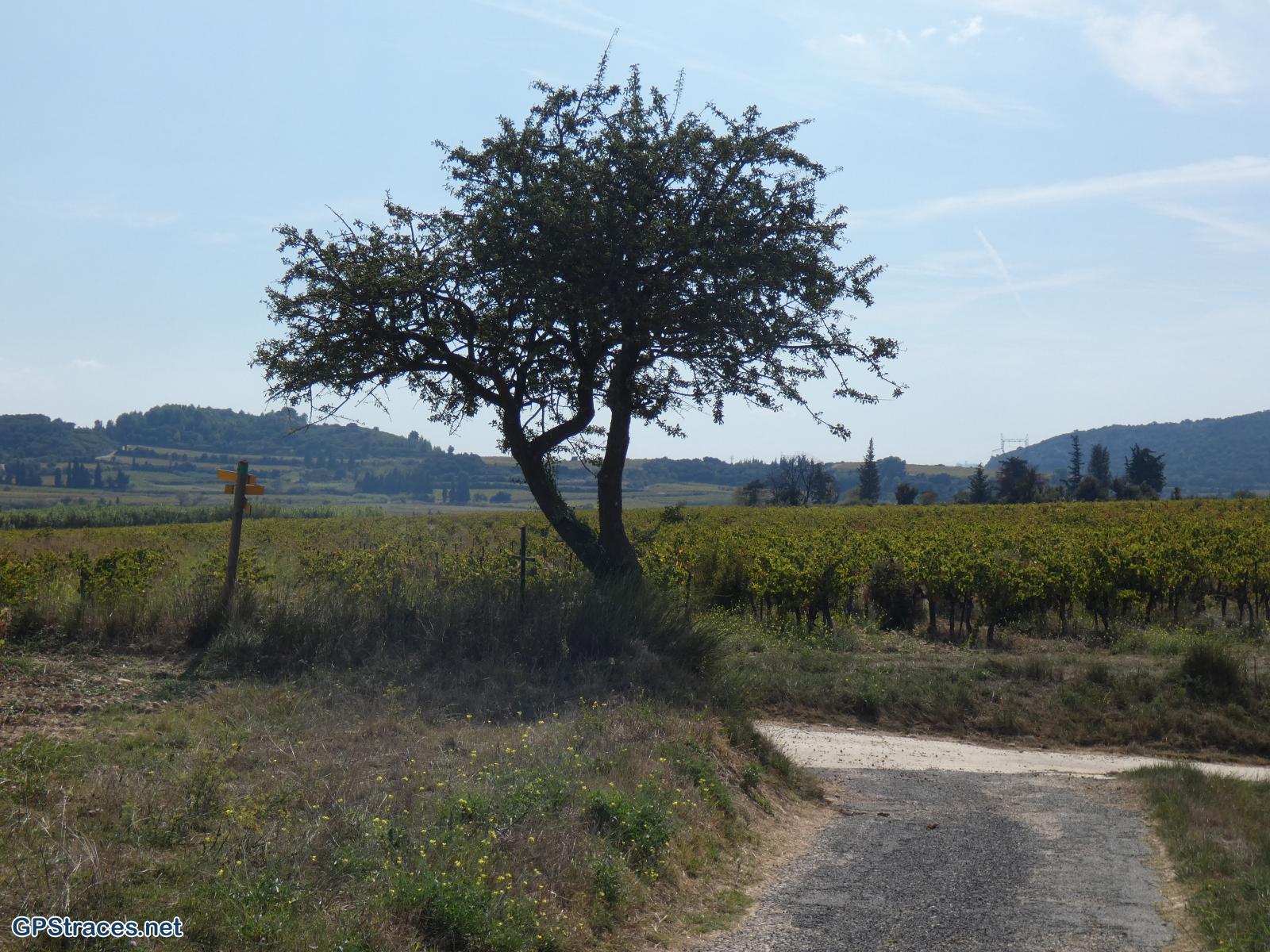 Gard-De Domazan à Estézargues–5
