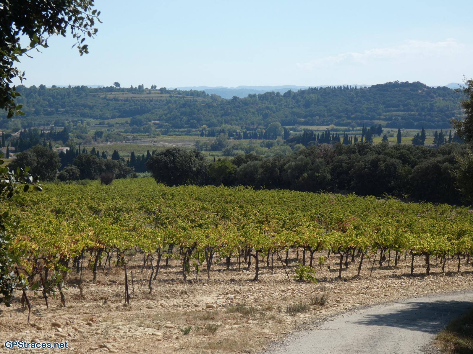 Gard-De Domazan à Estézargues–7