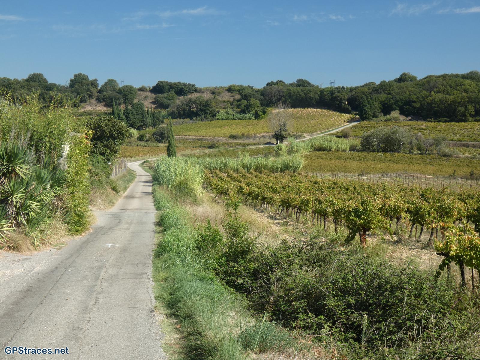 Gard-De Domazan à Estézargues–9