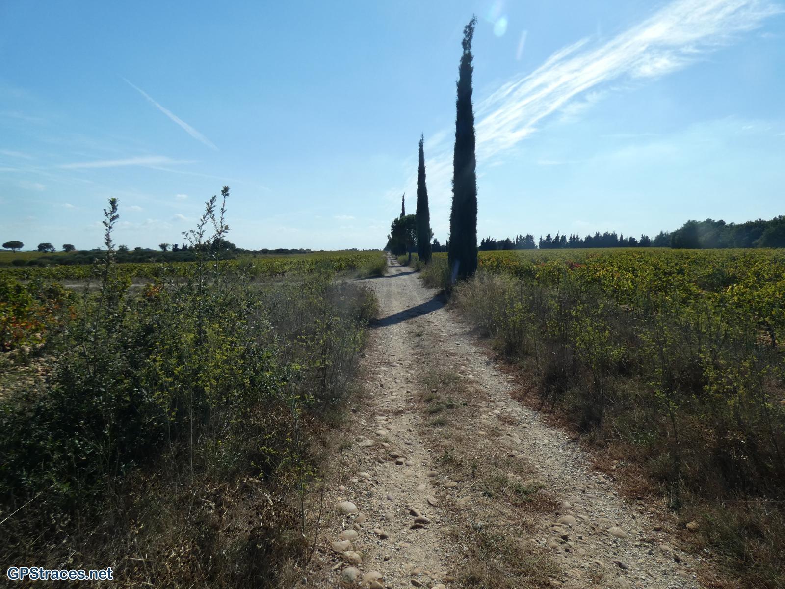 La plaine