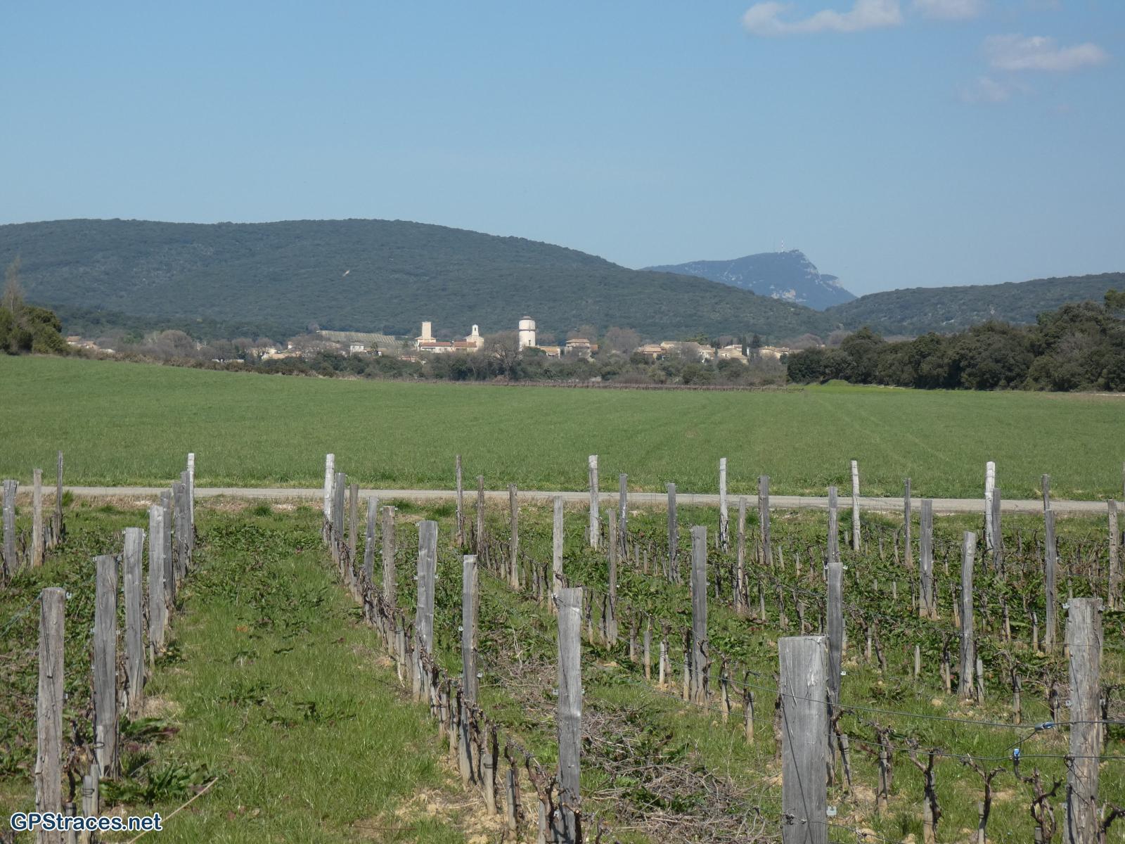 Baron et le Mont Bouquet