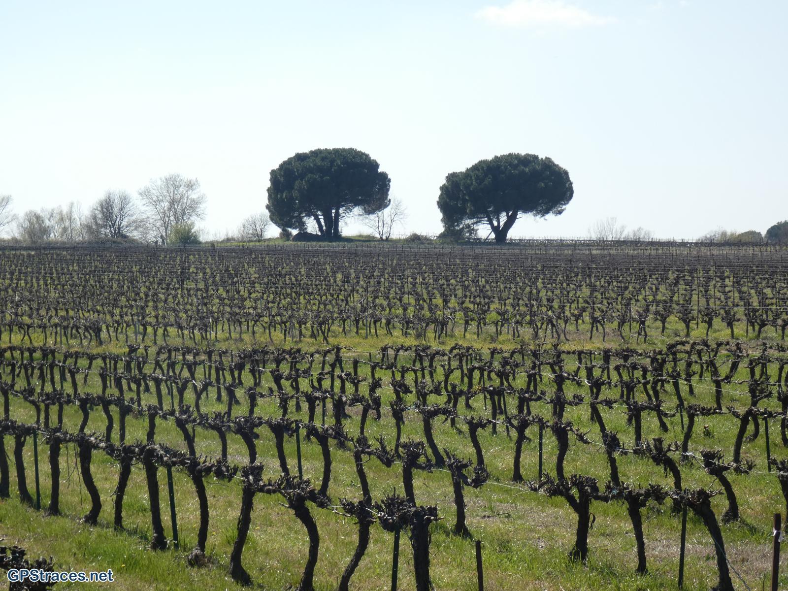 Gard-De Foissac à Collorgues–3