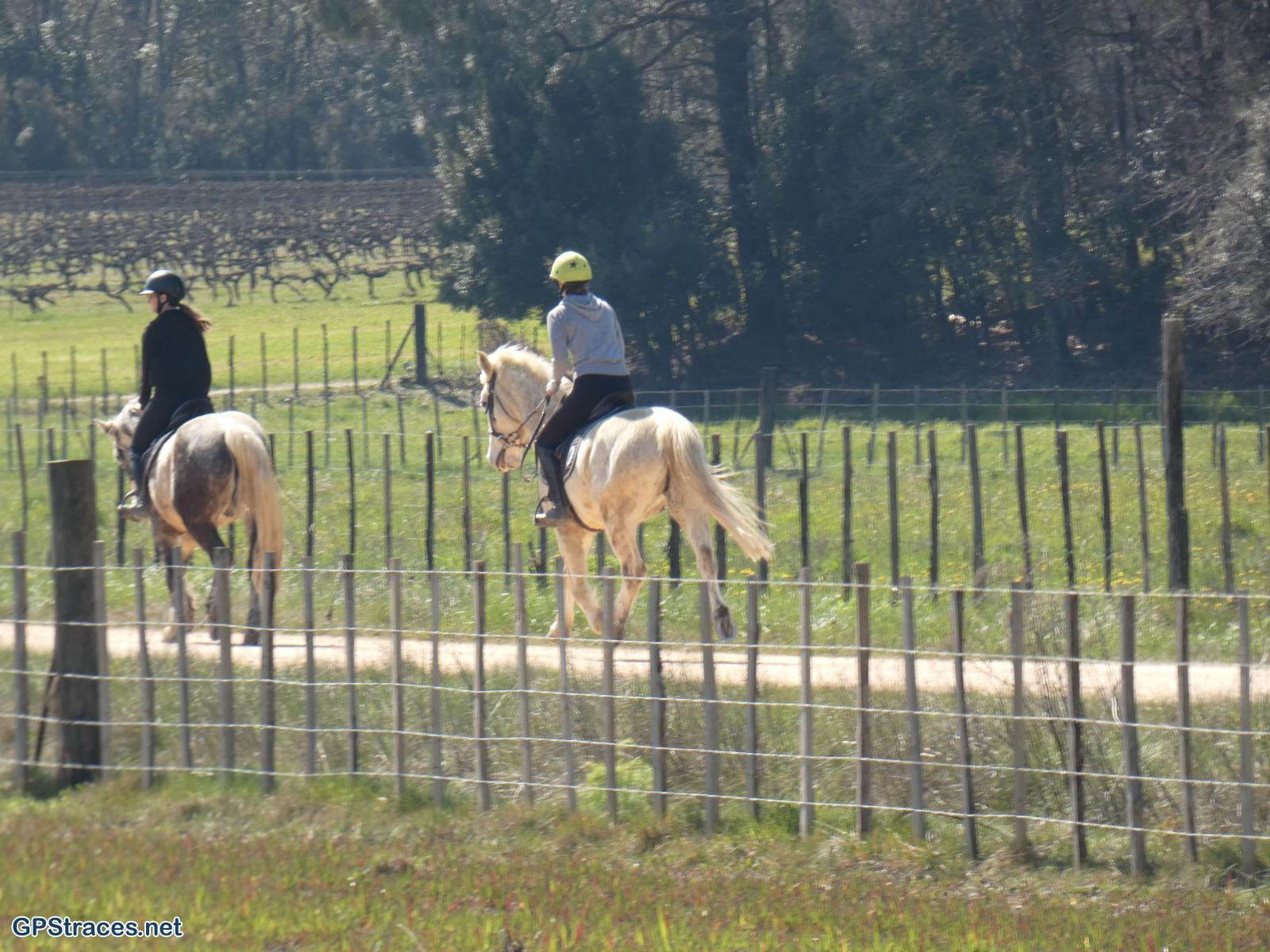 Gard-De Foissac à Collorgues–5