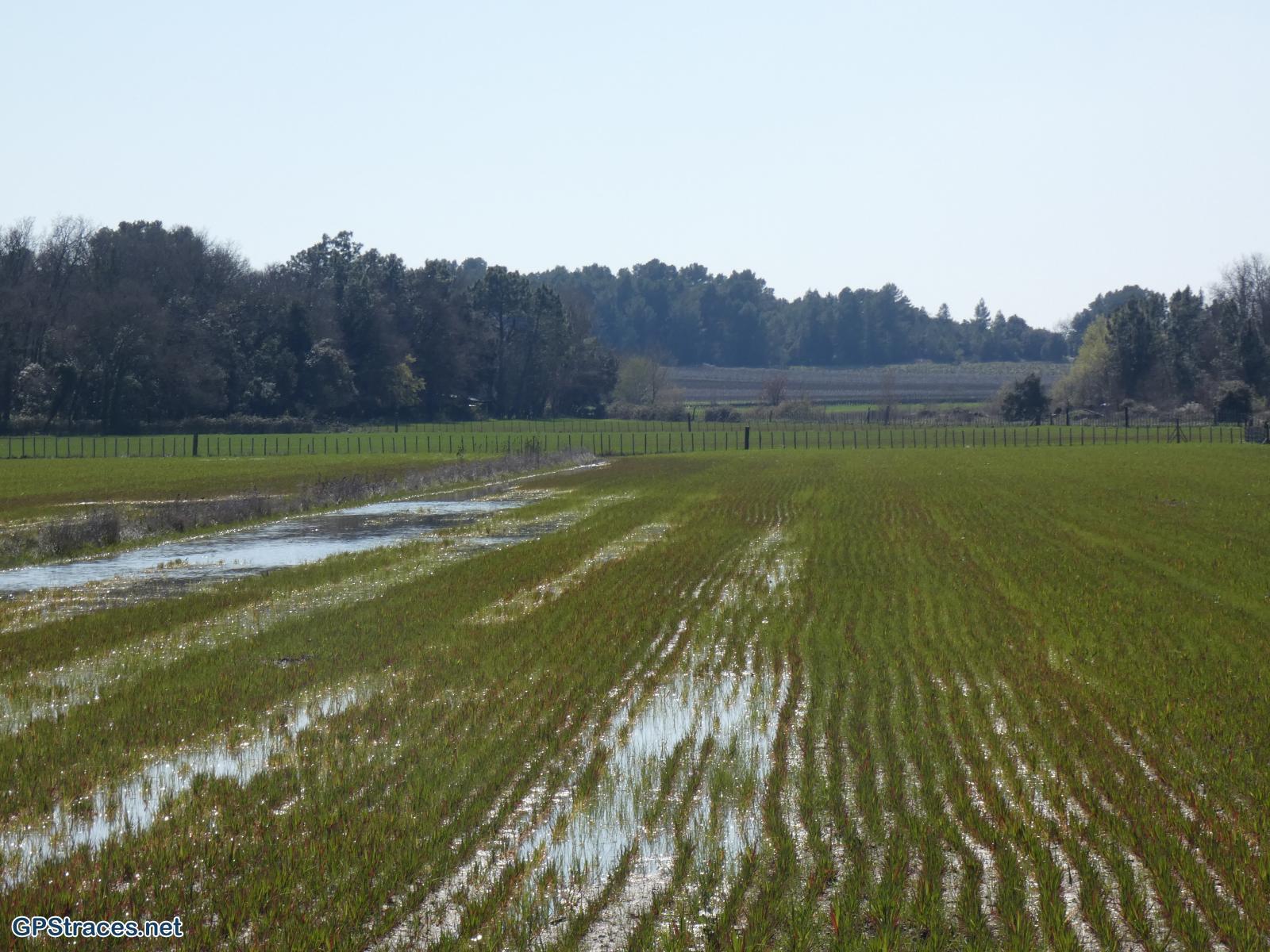 Gard-De Foissac à Collorgues–6