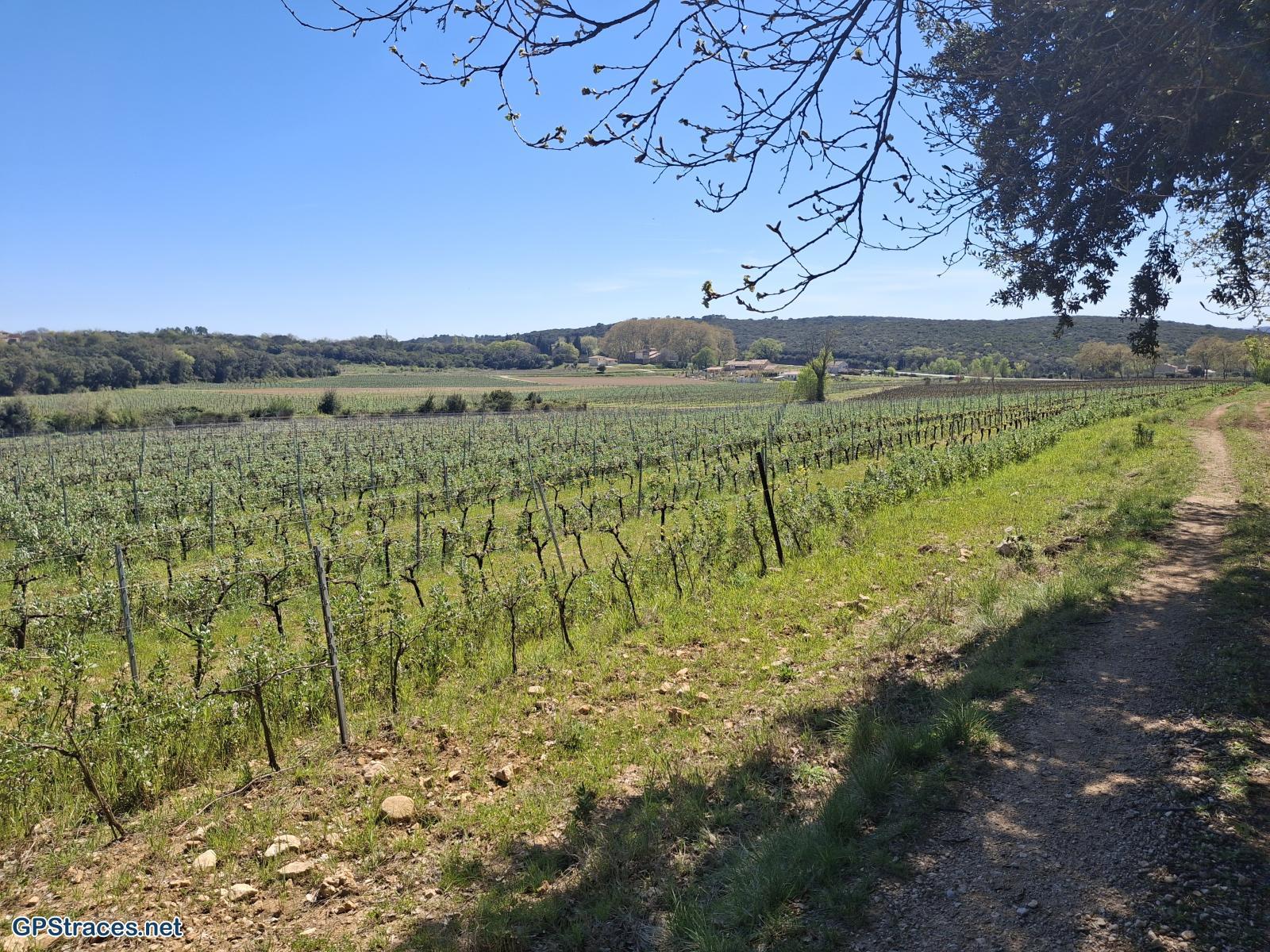 Gard-De Foissac à Marignac par le col du Coutel–4