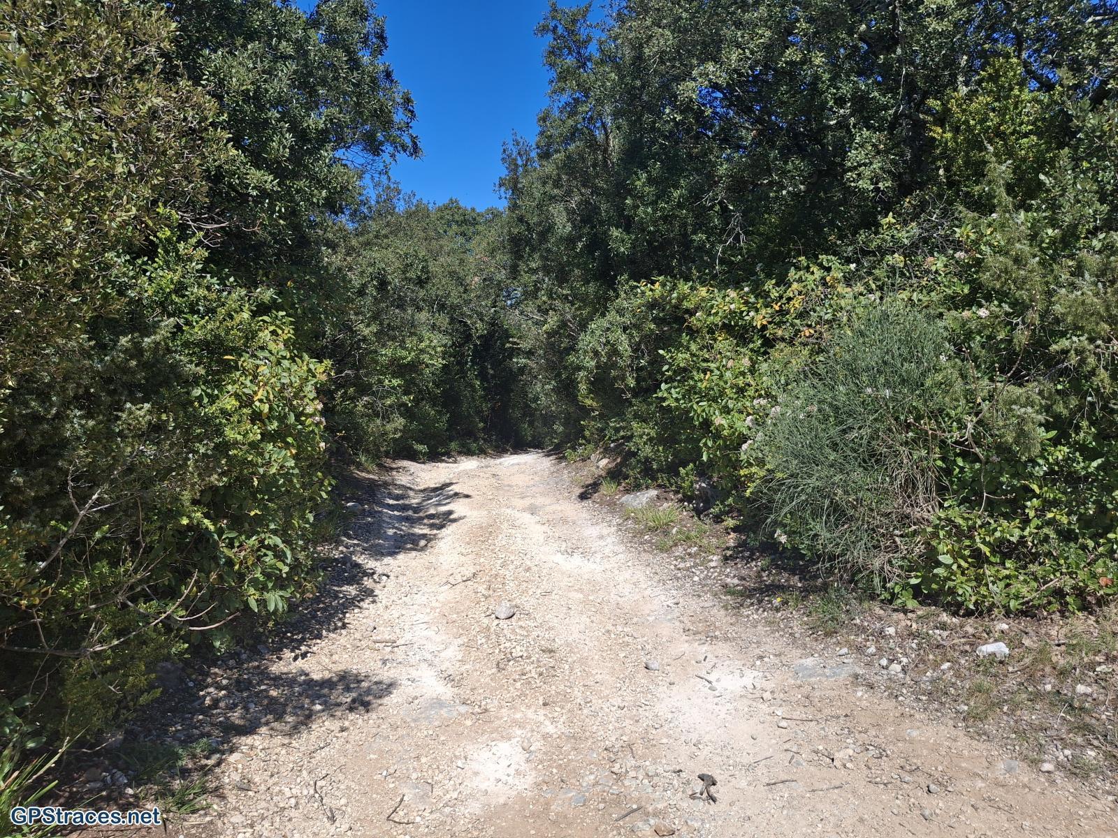 Le col du Coutel