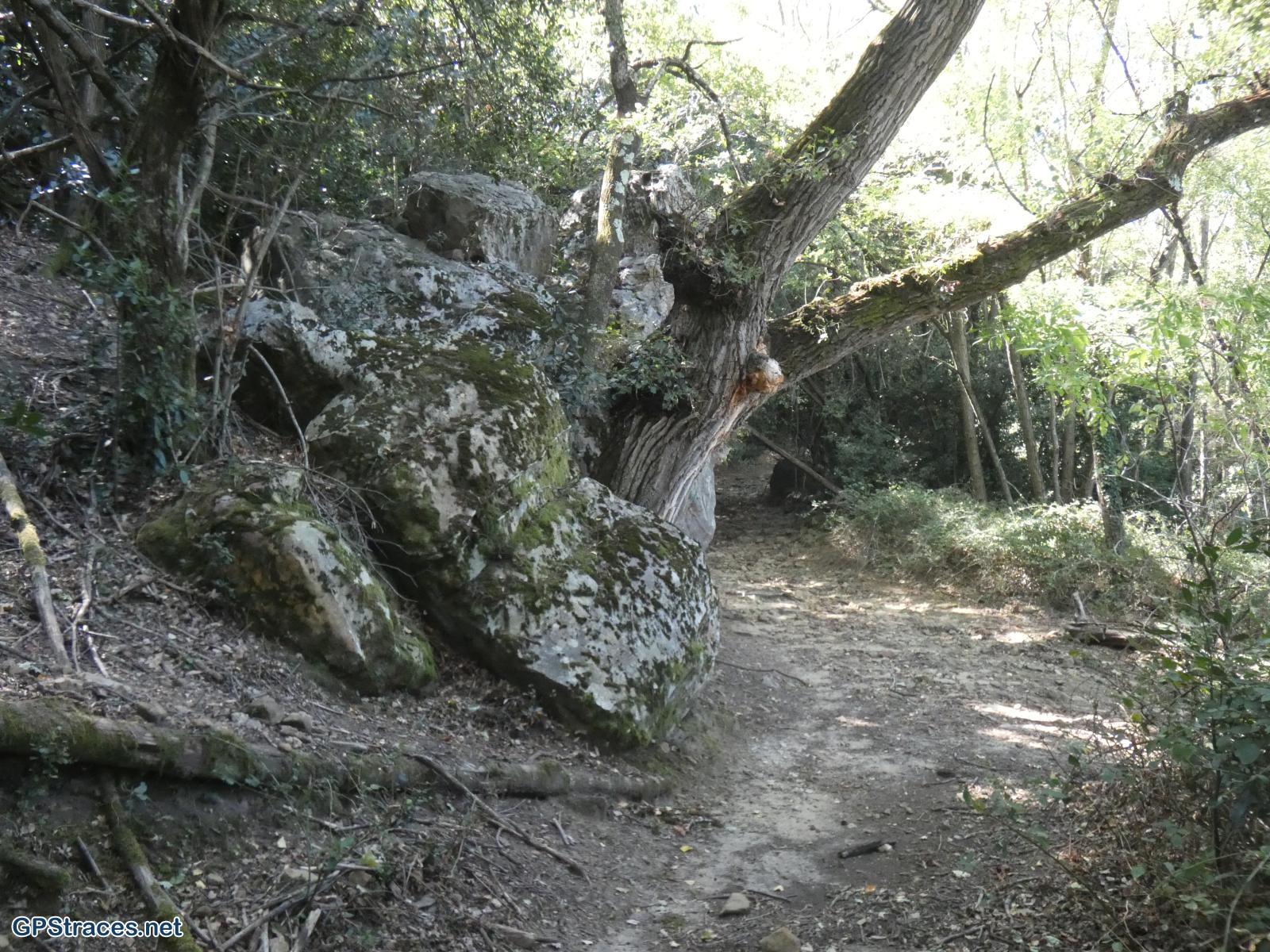 Gard-Le Pin - Pougnadoresse–3