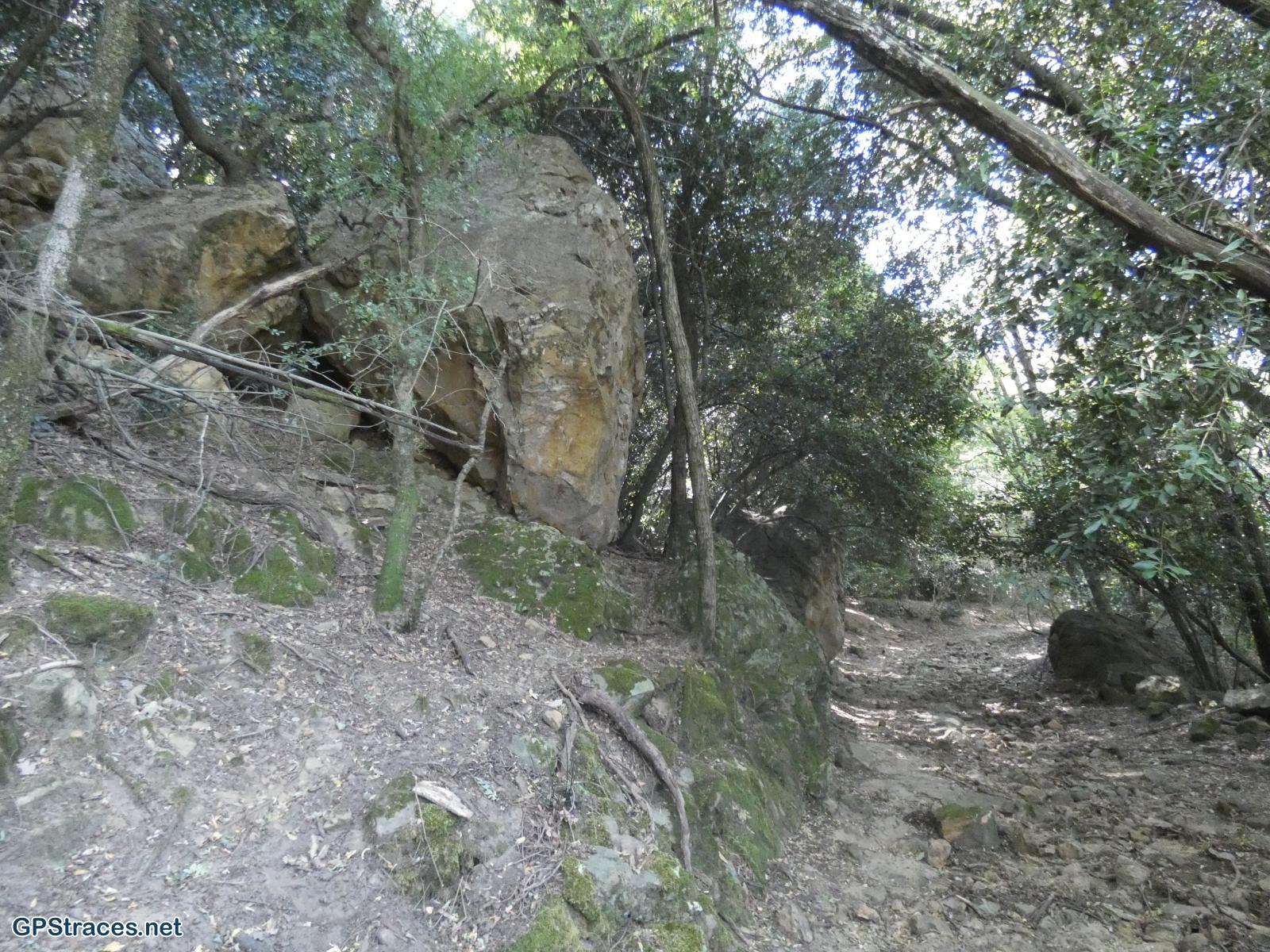 Gard-Le Pin - Pougnadoresse–5
