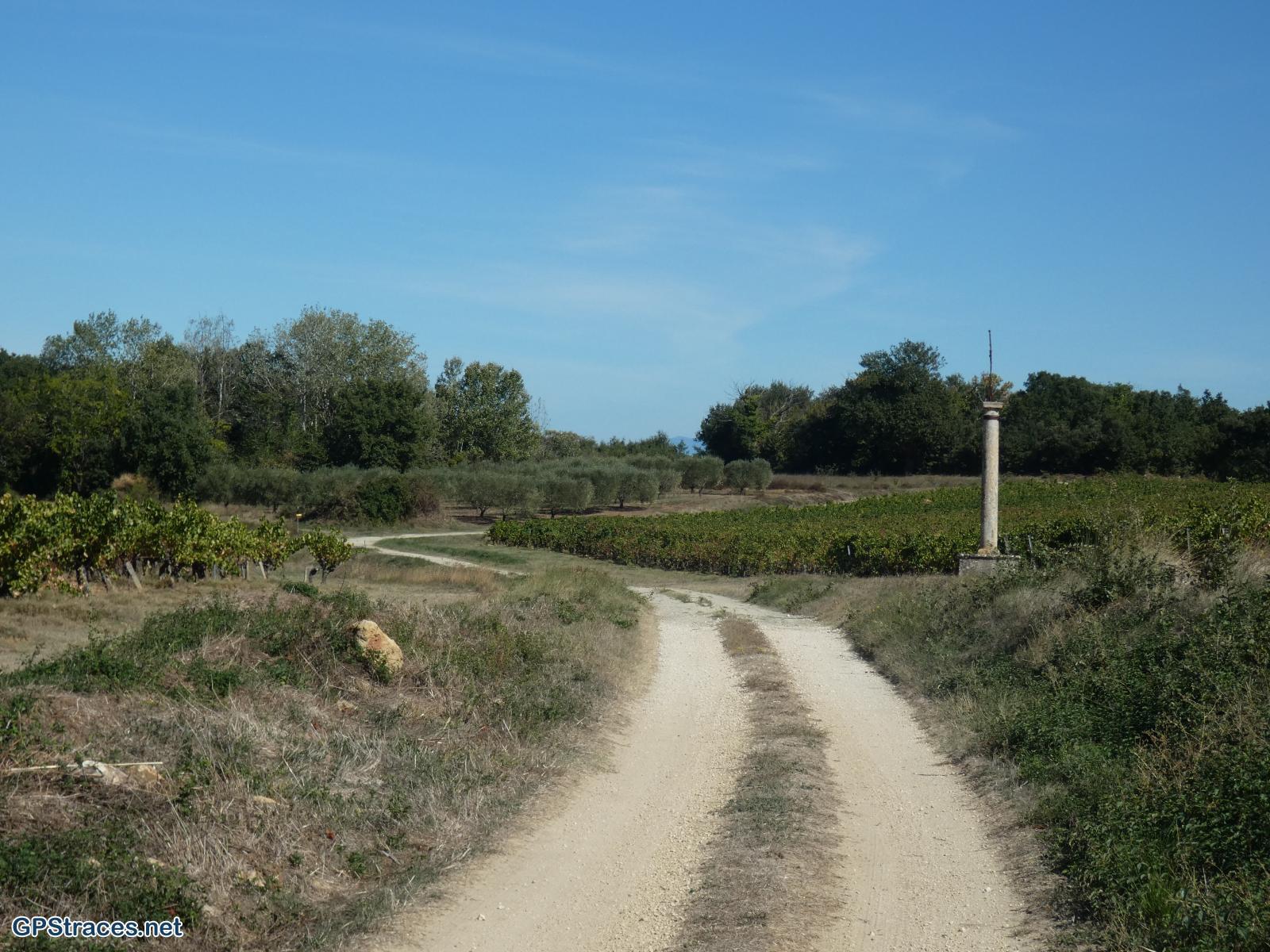 Gard-Le Pin - Pougnadoresse–13