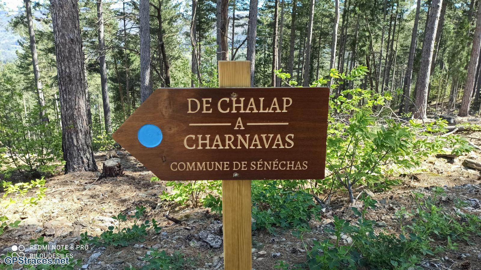 Départ du Champ des Brus