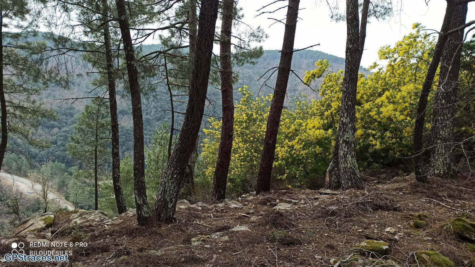 Gard-Sénéchas Les Issarts–1