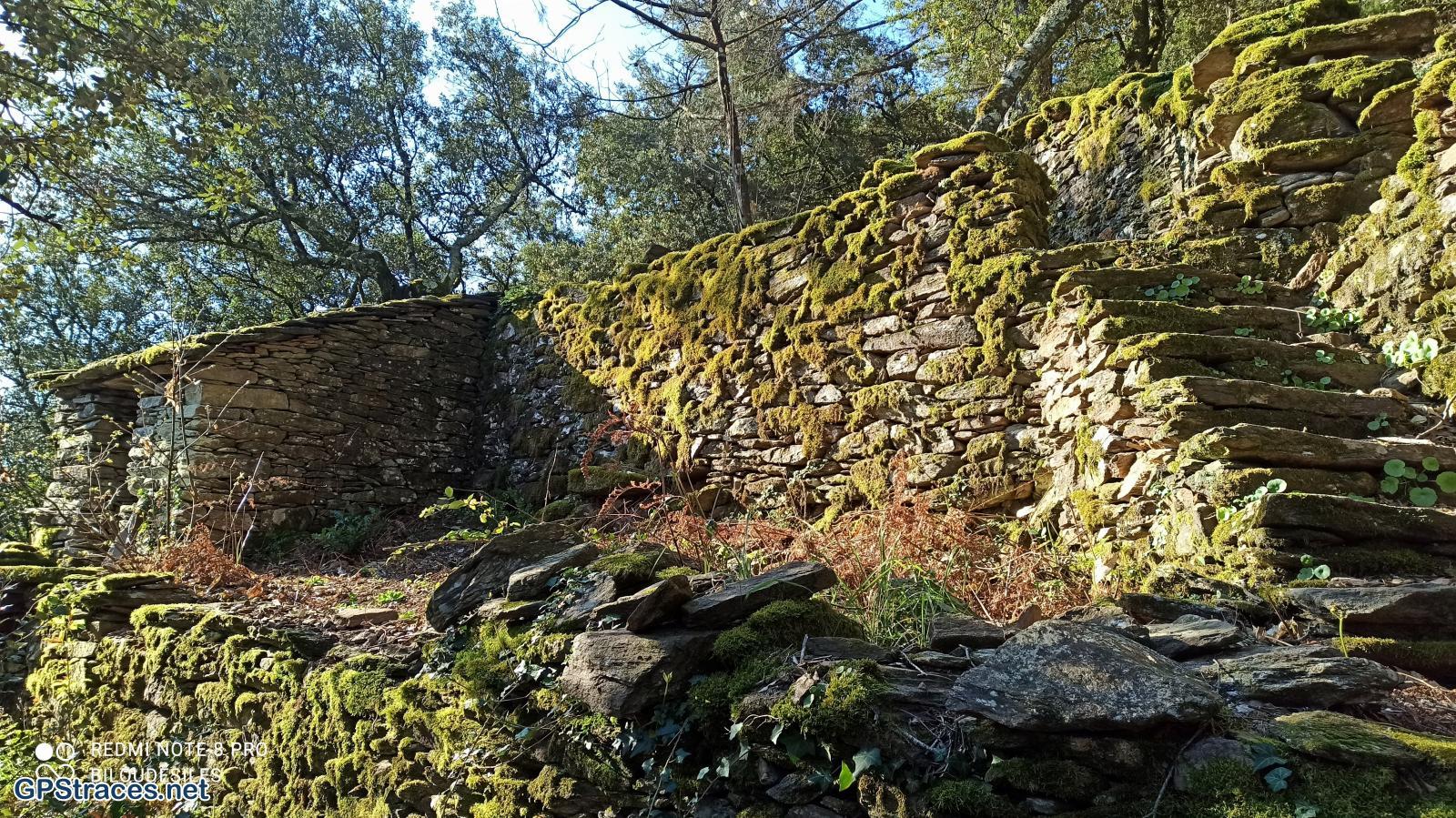 Gard-Sénéchas. Saute Cabre–0