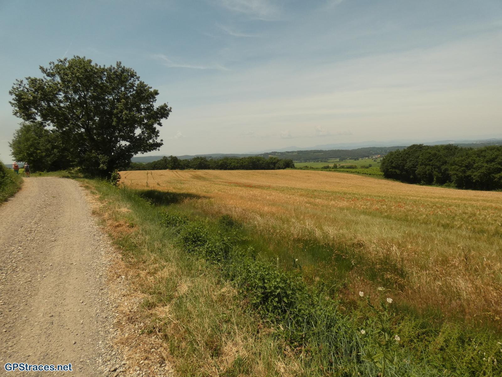 Gard-De St-Maurice à St-Césaire de Gauzignan–0