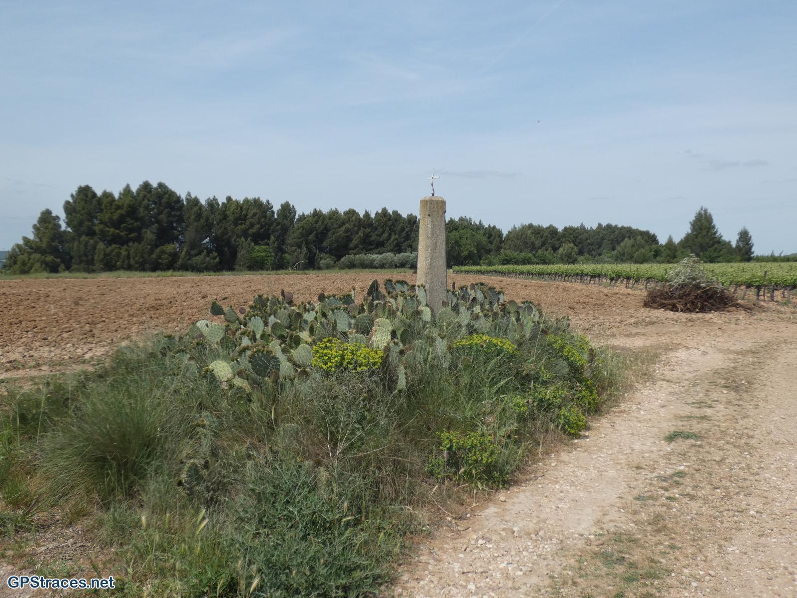 Gard-De Théziers à la chapelle St-Pierre–16