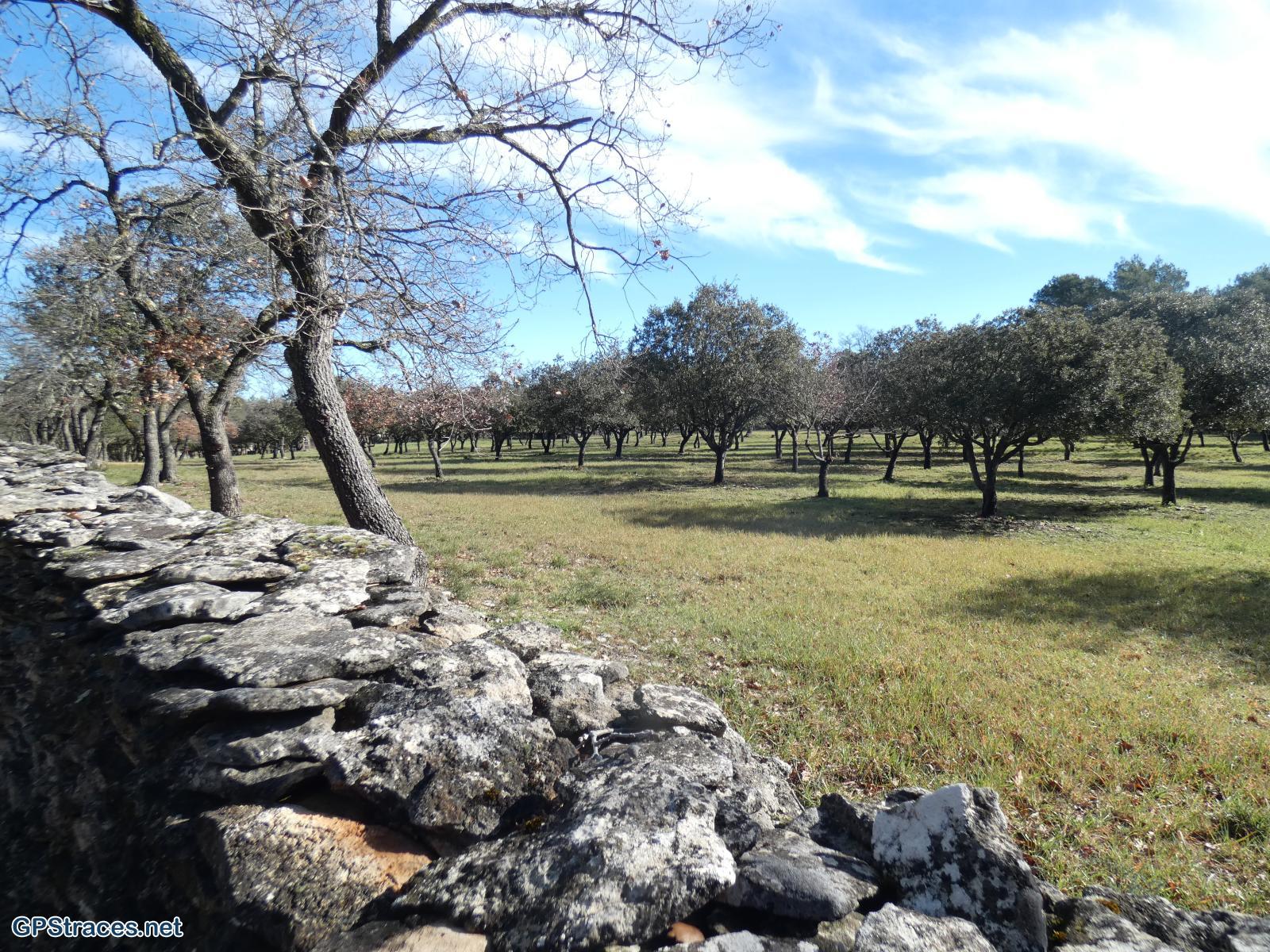 Vaucluse-De Beaumettes à St-Pantaléon–2