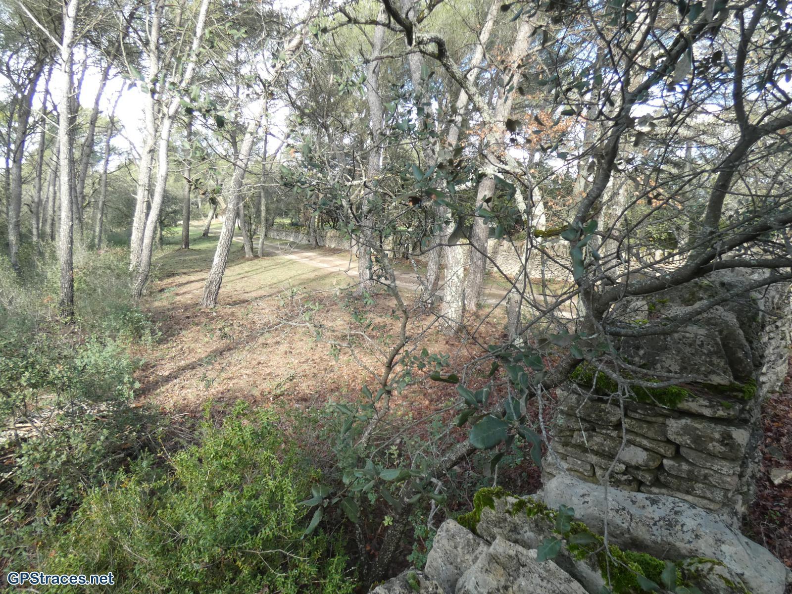 Vaucluse-De Beaumettes à St-Pantaléon–12