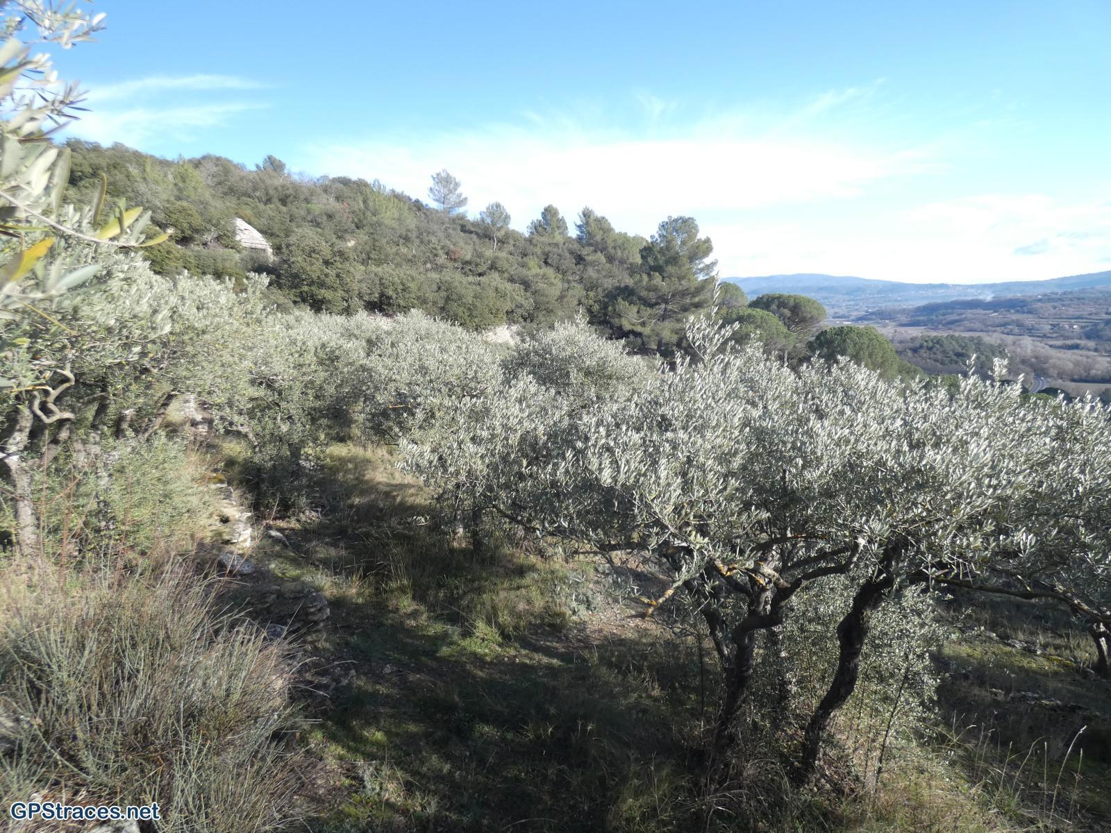 Vaucluse-De Beaumettes à St-Pantaléon–16