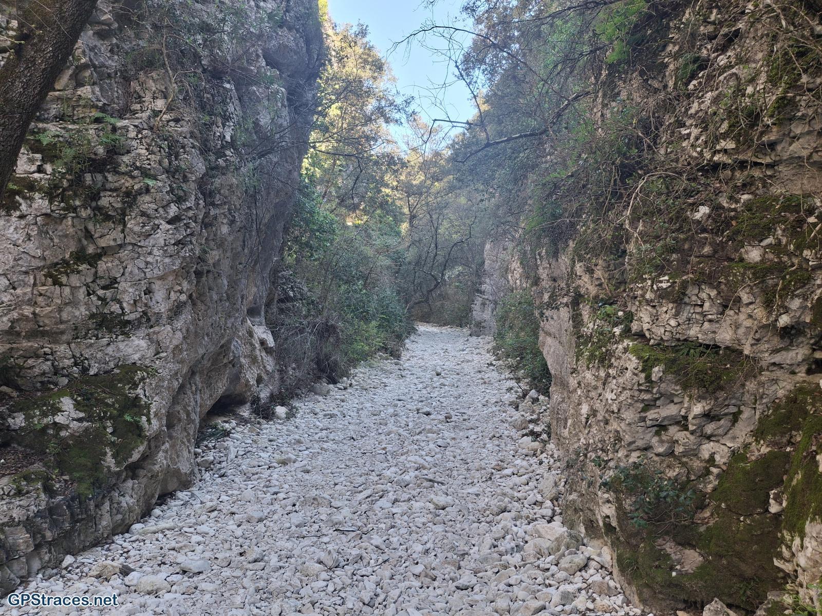 Les gorges de la Nesque