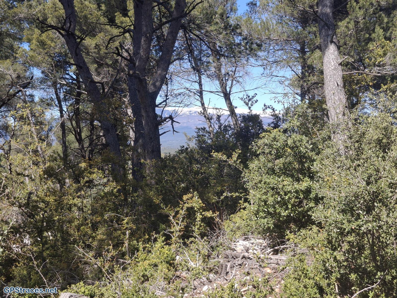 Vaucluse-De Méthamis au Petit Adrenier–9