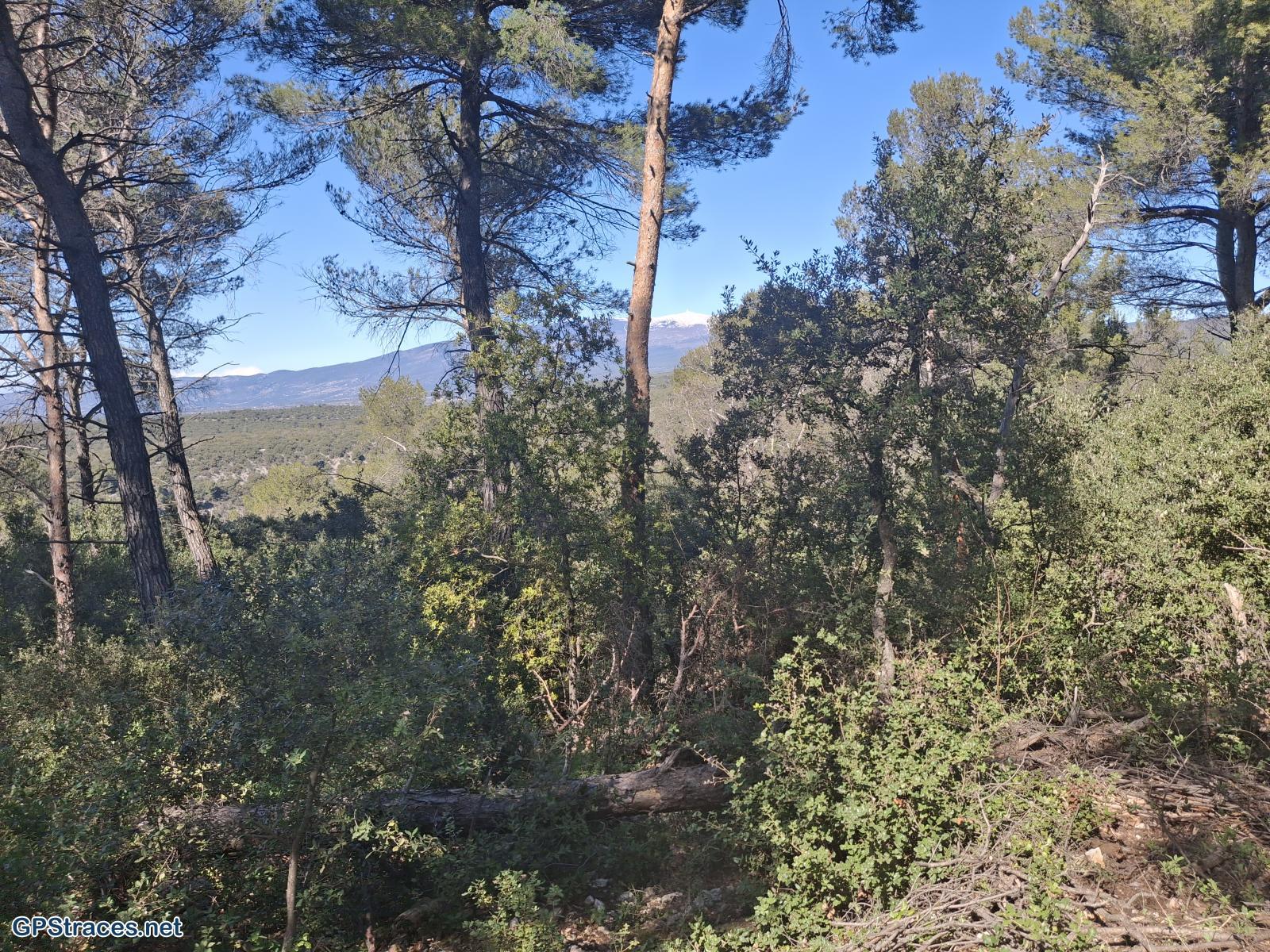 Vaucluse-De Méthamis au Petit Adrenier–10