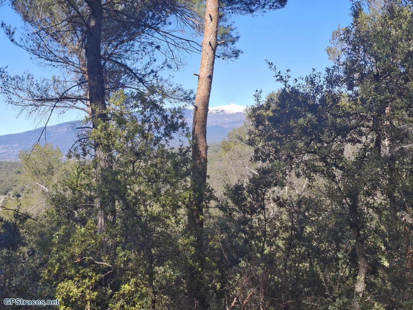 Le Mont Ventoux au loin