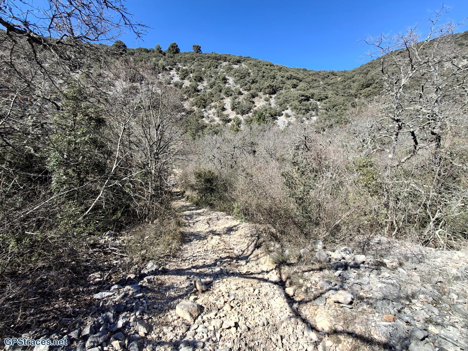 Vaucluse-De Méthamis au Petit Adrenier–12