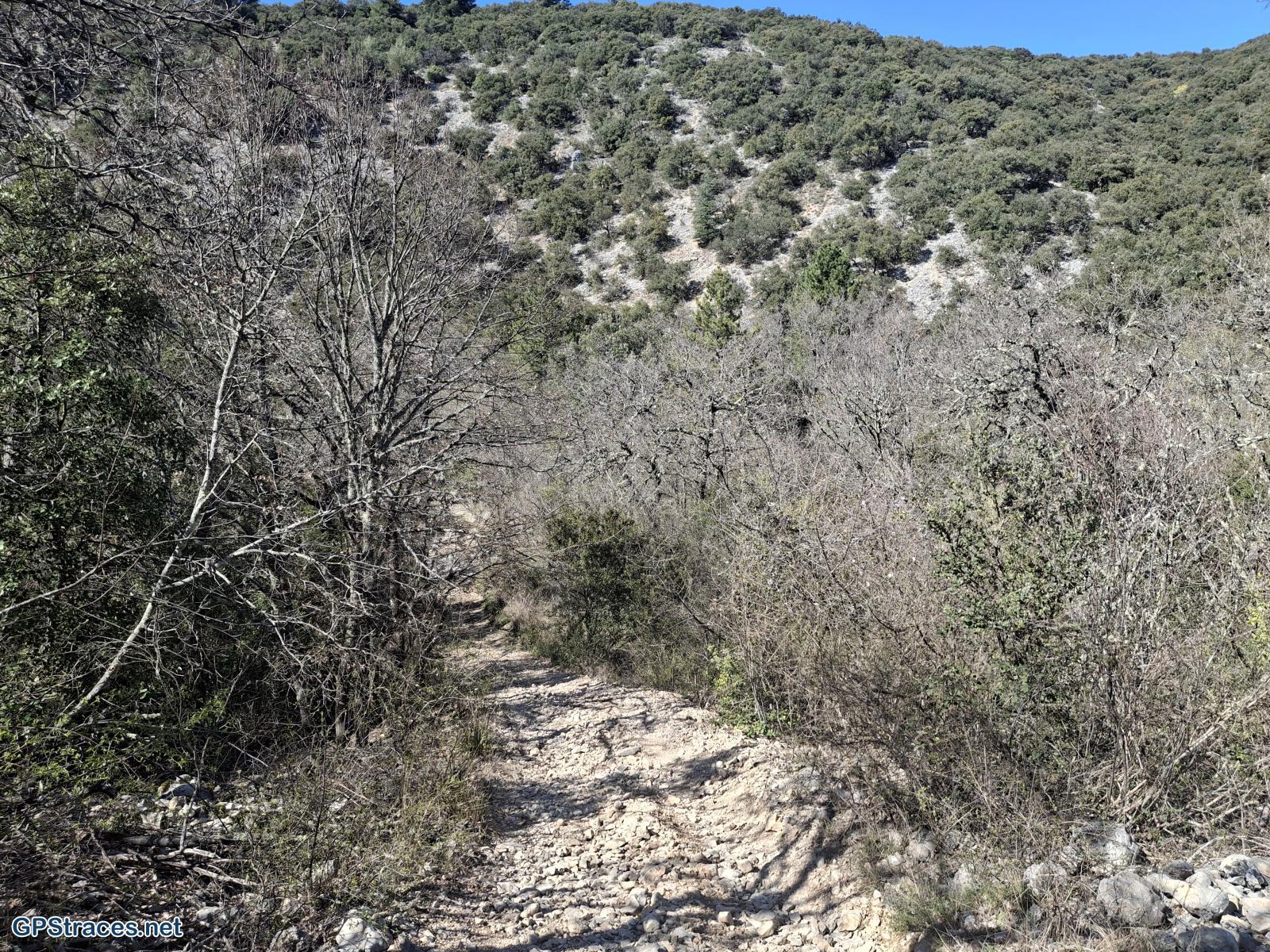 Vaucluse-De Méthamis au Petit Adrenier–13