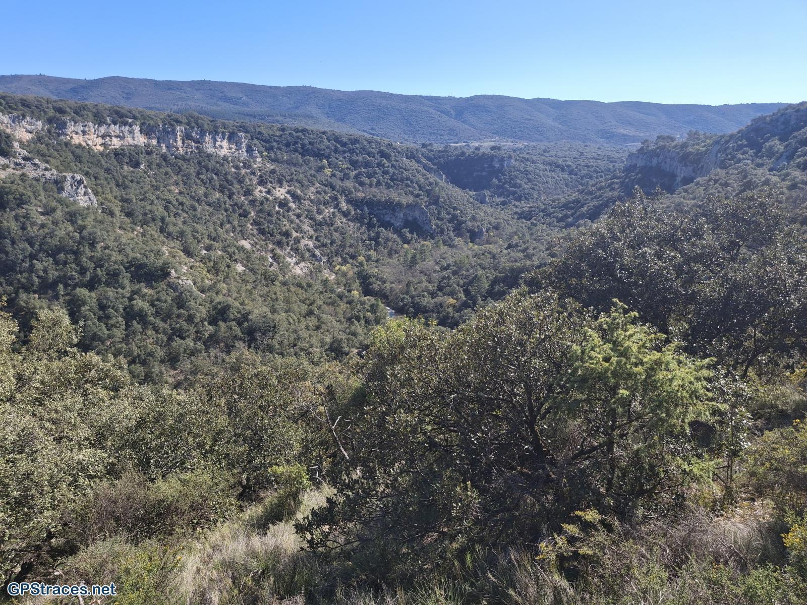 Les gorges de la Nesque