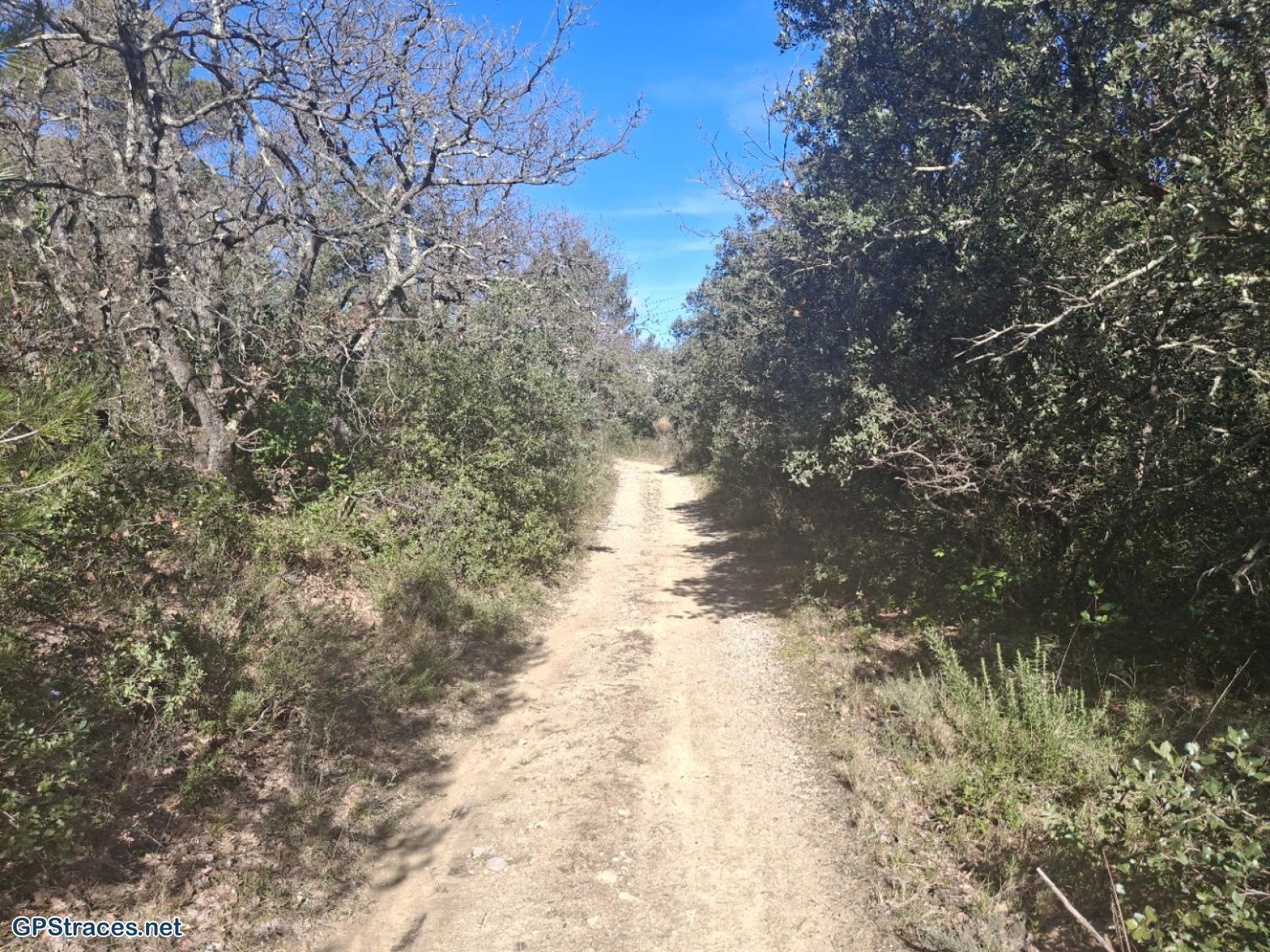 Vaucluse-De Sérignan-du-Comtat au castrum d'Uchaux–0
