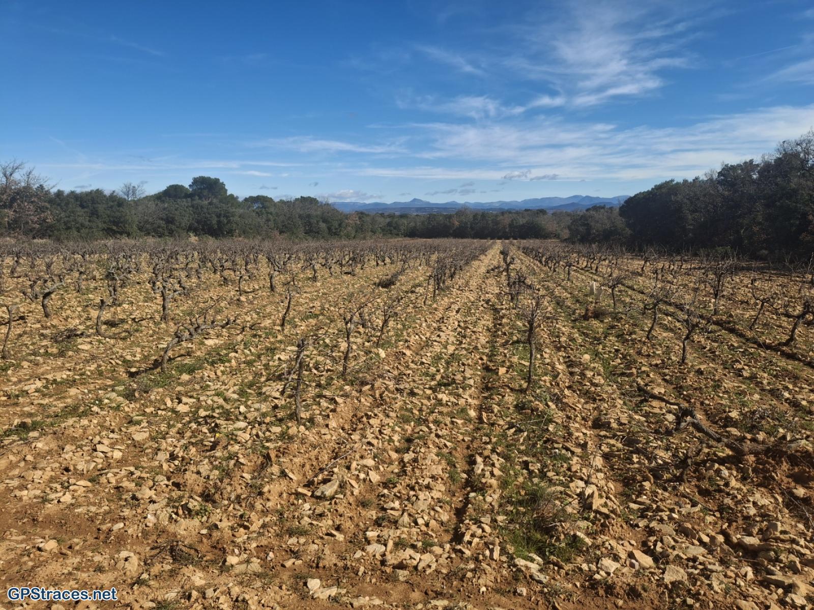 Vaucluse-De Sérignan-du-Comtat au castrum d'Uchaux–2