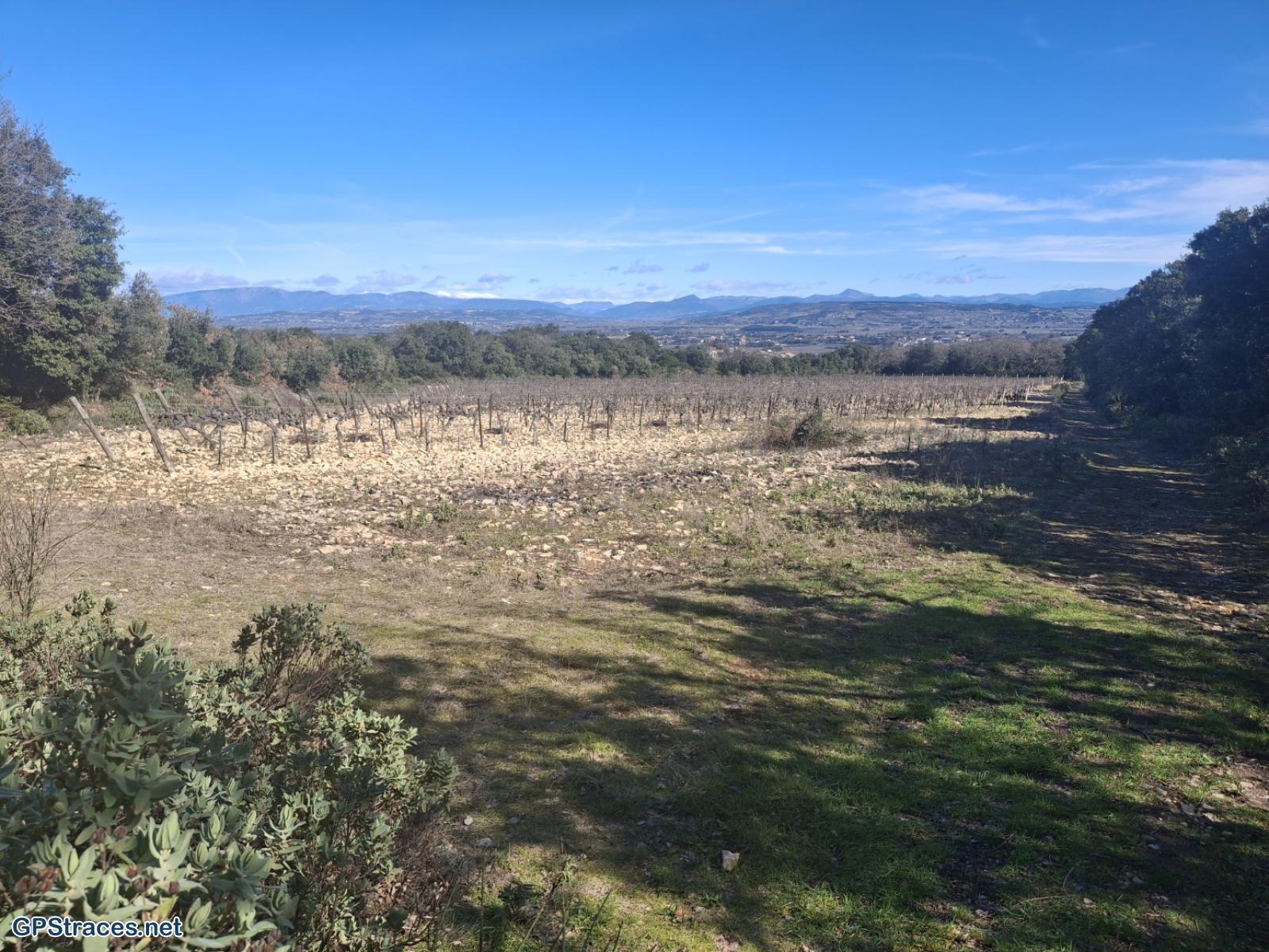 Vaucluse-De Sérignan-du-Comtat au castrum d'Uchaux–3