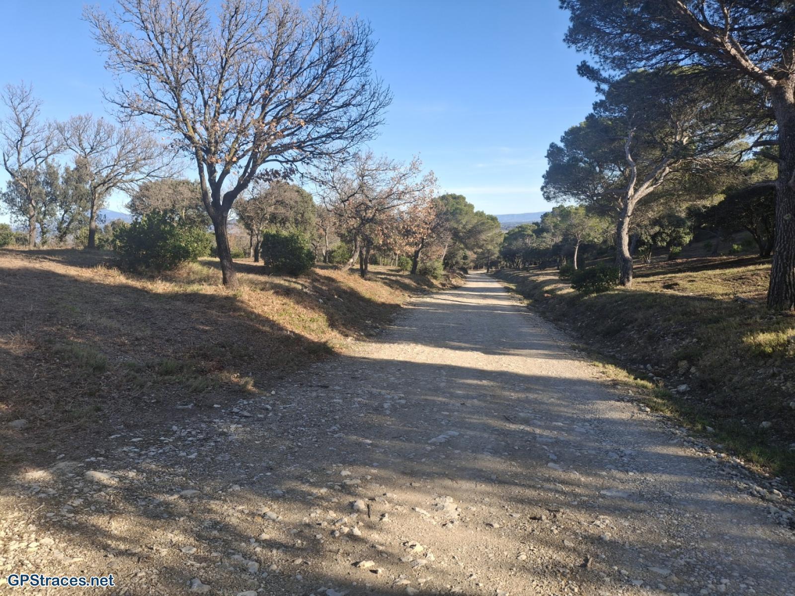 Vaucluse-De Sérignan-du-Comtat au castrum d'Uchaux–13